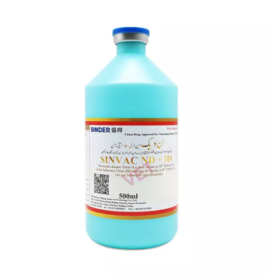 鶏が病気になる最も一般的な方法は何ですか？