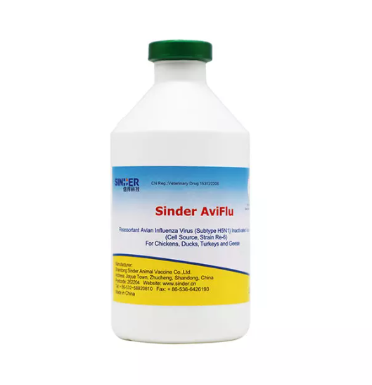 鳥インフルエンザは家禽の健康にどのような影響を与えるのでしょうか?
