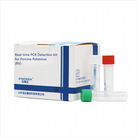 RV PCR