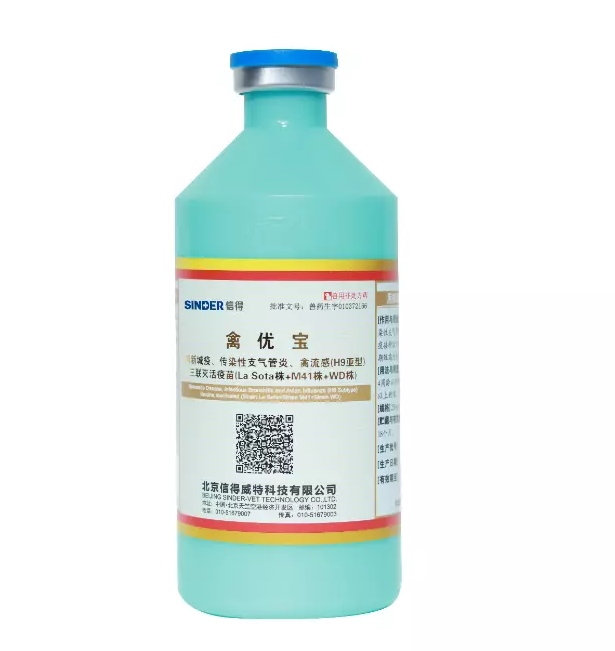 鶏を予防接種する価値はありますか？