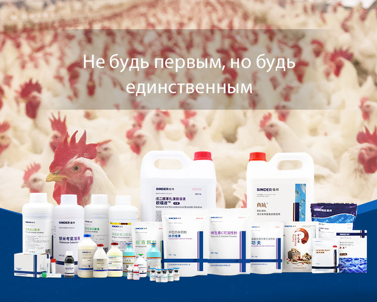 家畜の健康維持における医学の役割